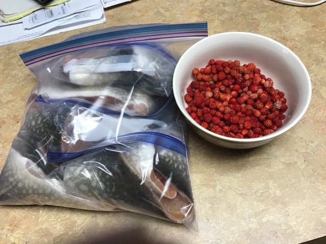 fish berries